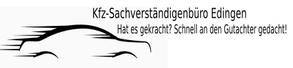 logo sv bearbeitet